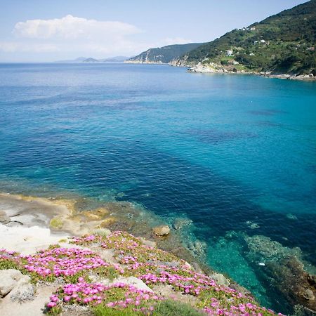 Hotel Gallo Nero Sant'Andrea  Exterior photo