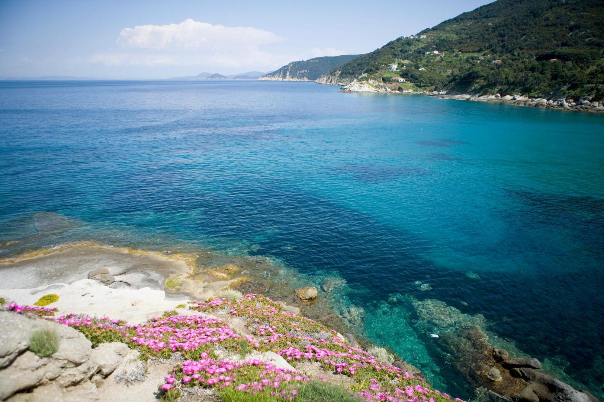 Hotel Gallo Nero Sant'Andrea  Exterior photo