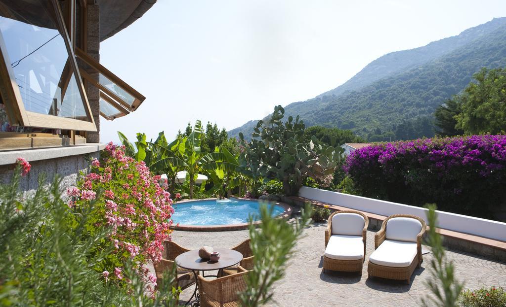 Hotel Gallo Nero Sant'Andrea  Exterior photo