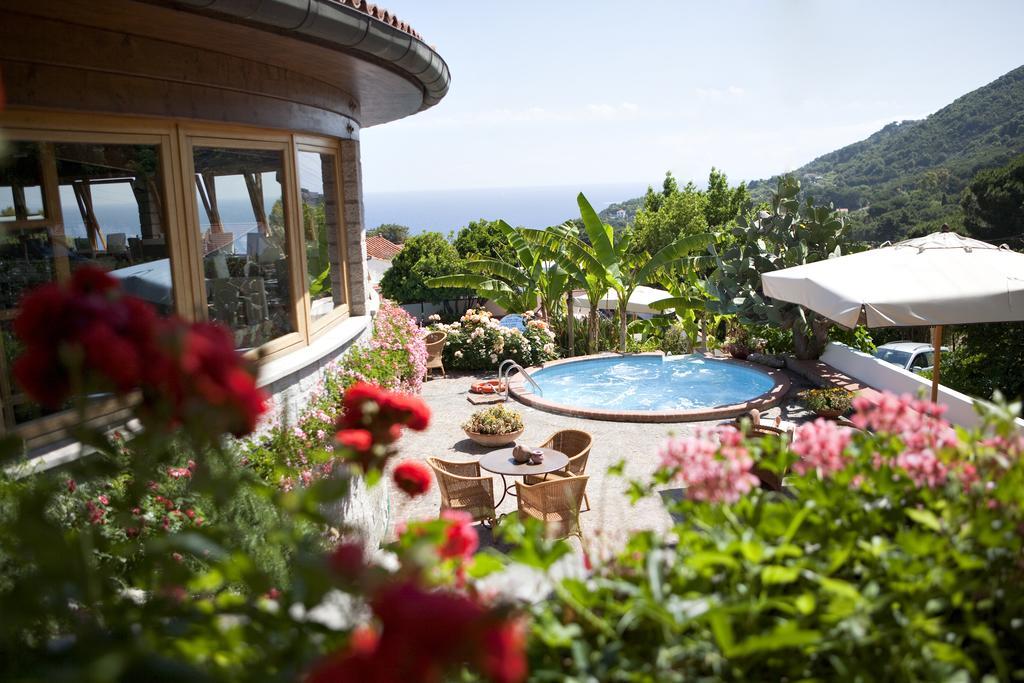 Hotel Gallo Nero Sant'Andrea  Exterior photo