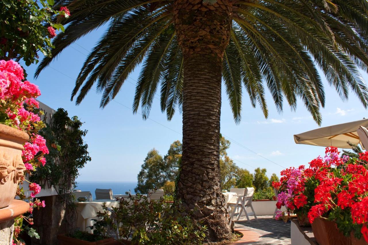 Hotel Gallo Nero Sant'Andrea  Exterior photo