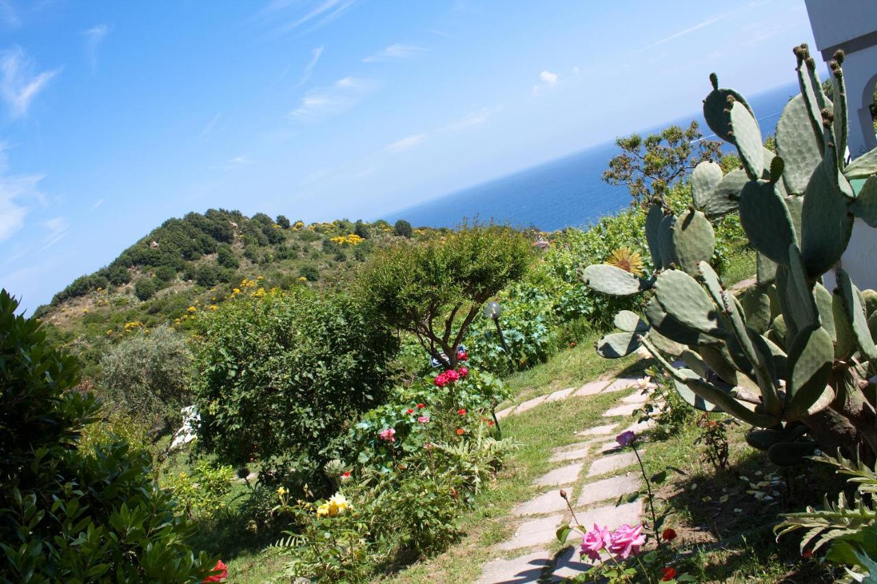 Hotel Gallo Nero Sant'Andrea  Exterior photo